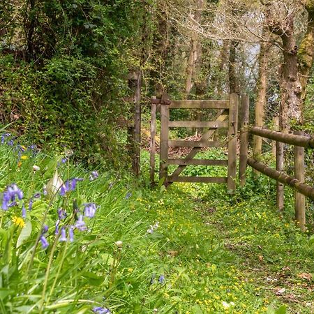 Nutsford House Bed & Breakfast Dulverton Exterior photo