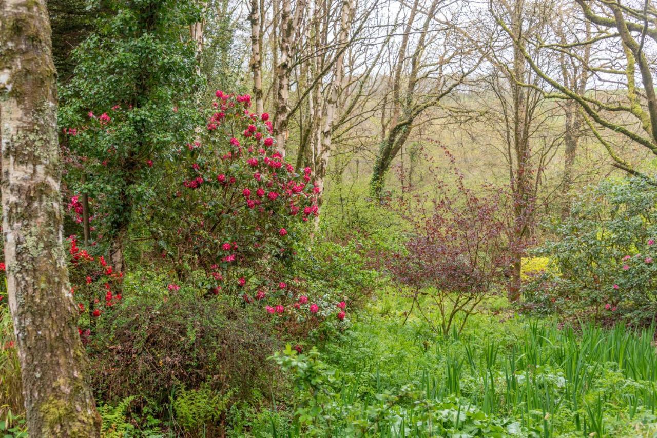 Nutsford House Bed & Breakfast Dulverton Exterior photo