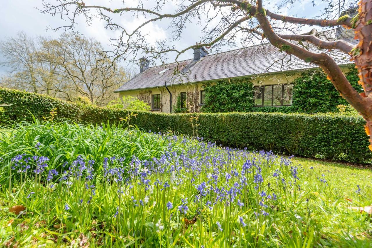 Nutsford House Bed & Breakfast Dulverton Exterior photo